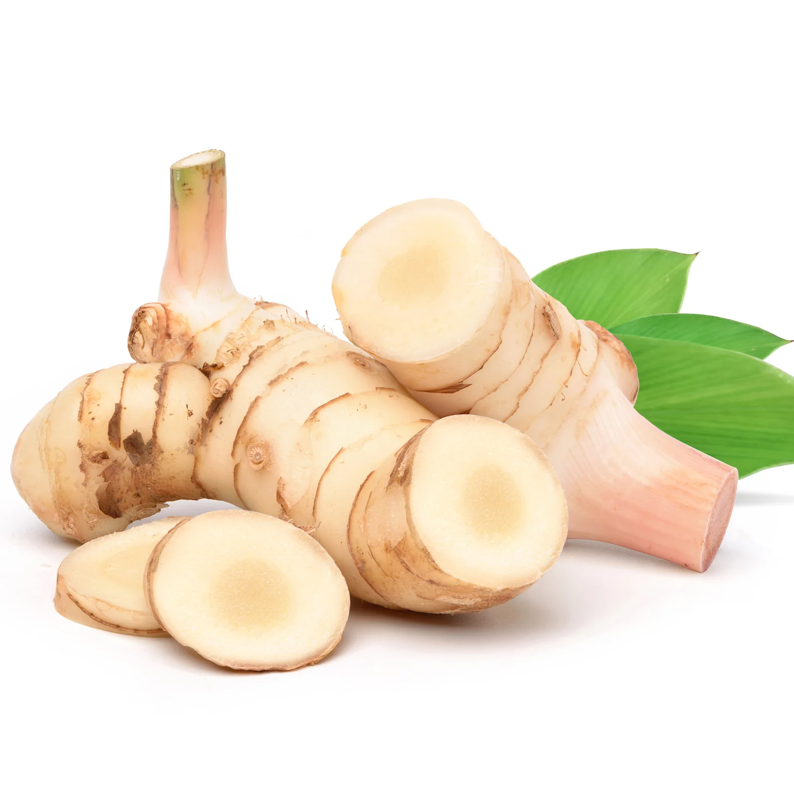 Galangal Root