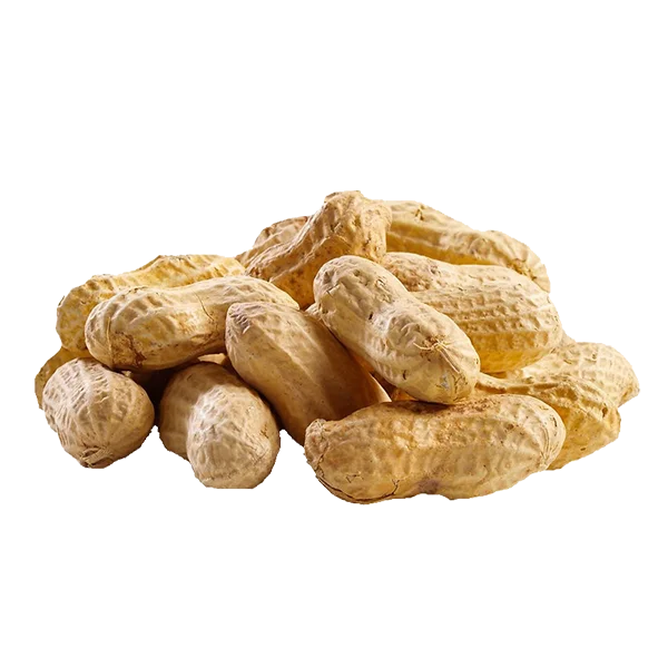 Groundnuts Peanuts