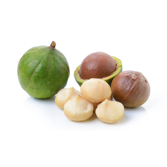 Macadamia Nuts