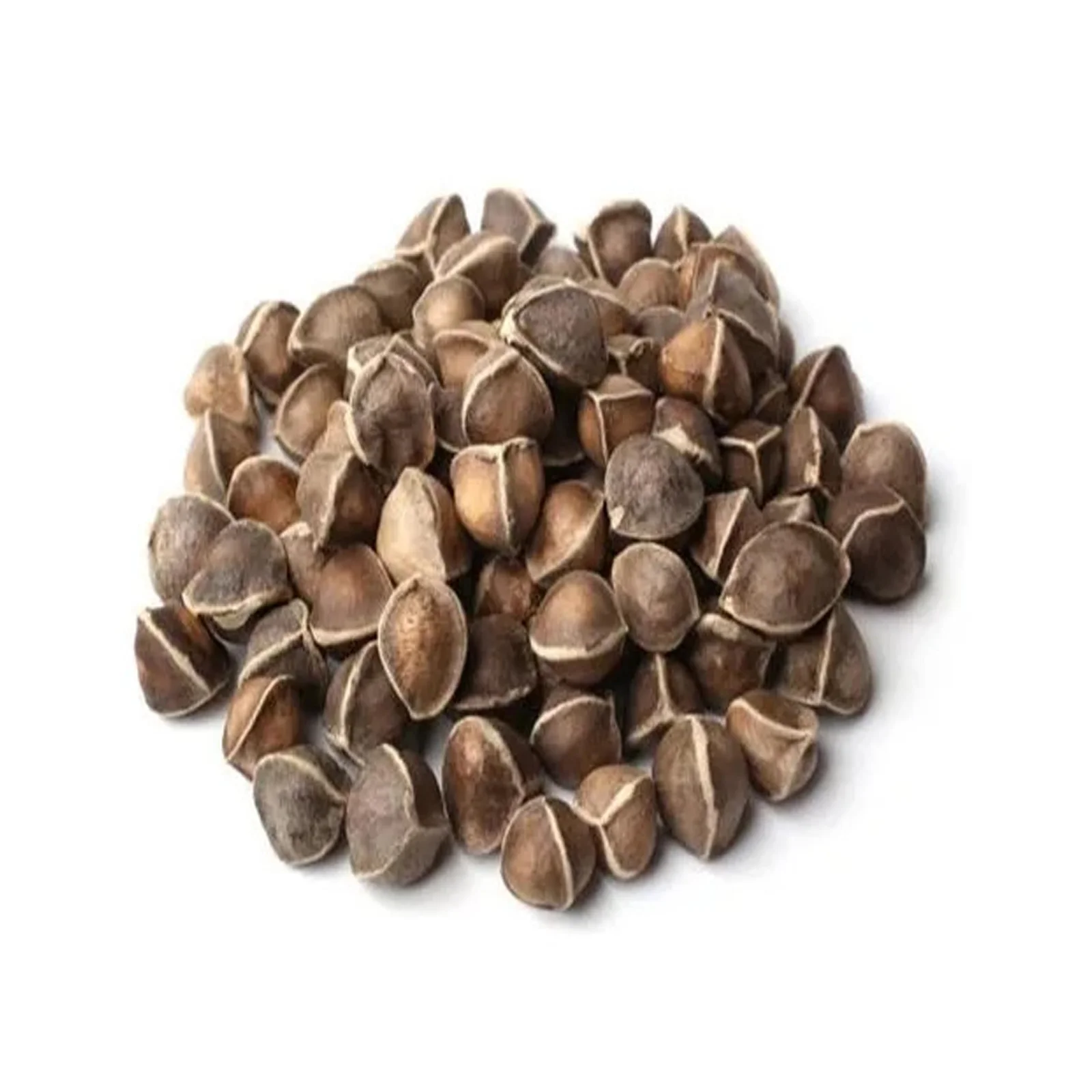 Moringa Seeds