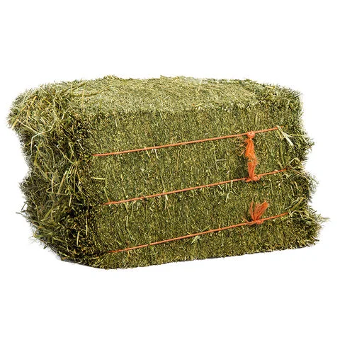 Rhodes Grass Hay