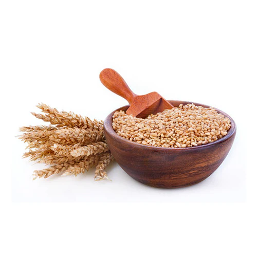 Wheat Grain