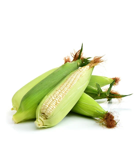 White Corn – Maize